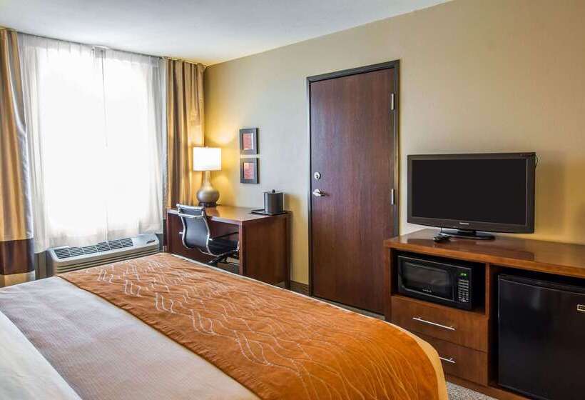 호텔 Comfort Inn & Suites