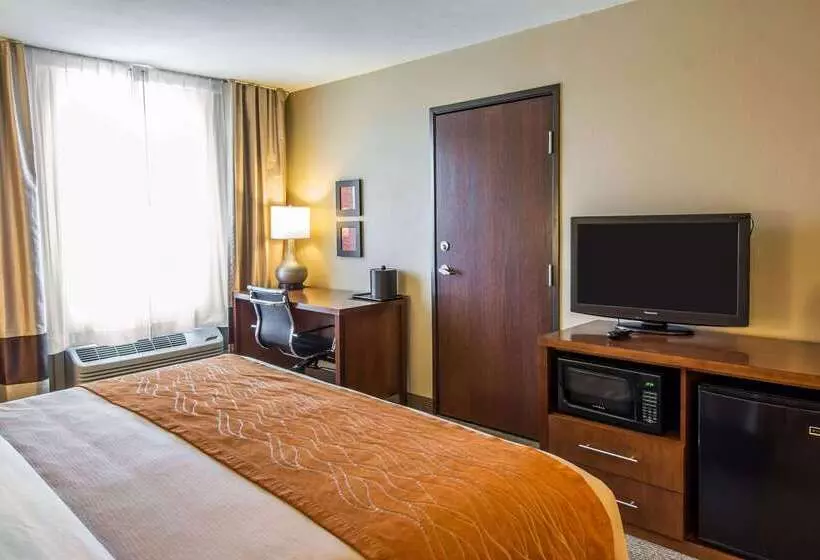 ホテル Comfort Inn & Suites