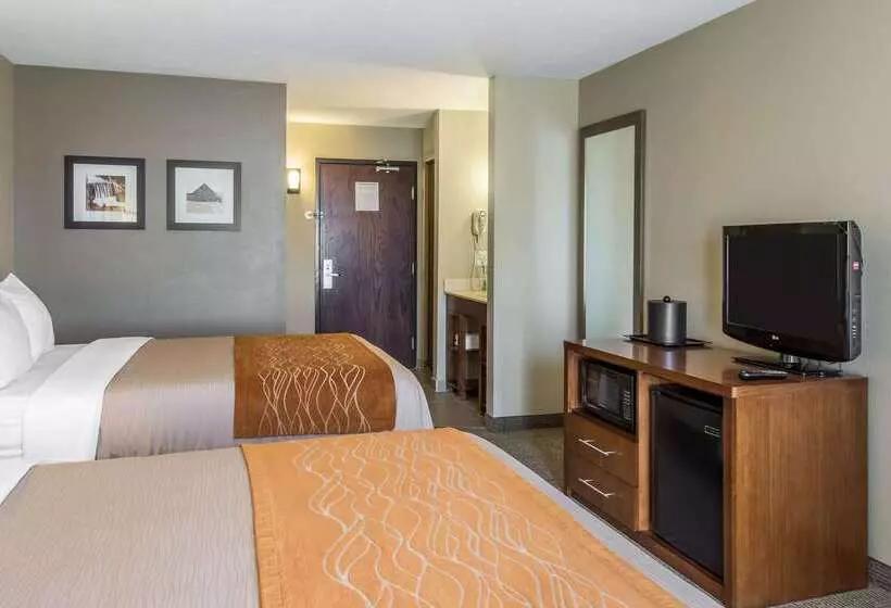 ホテル Comfort Inn & Suites