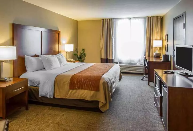 ホテル Comfort Inn & Suites