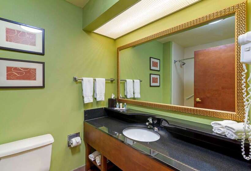 酒店 Comfort Suites Milledgeville