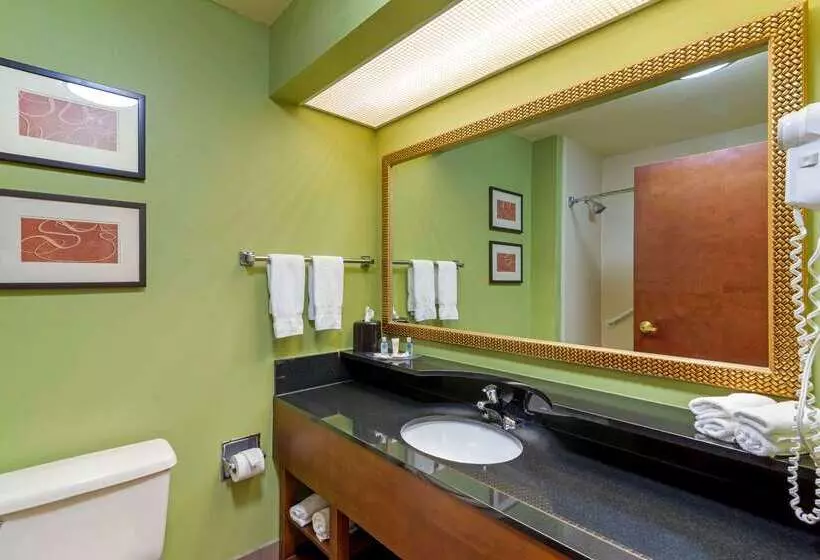 Отель Comfort Suites Milledgeville