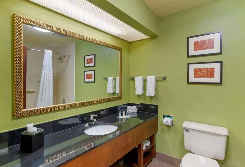 Отель Comfort Suites Milledgeville