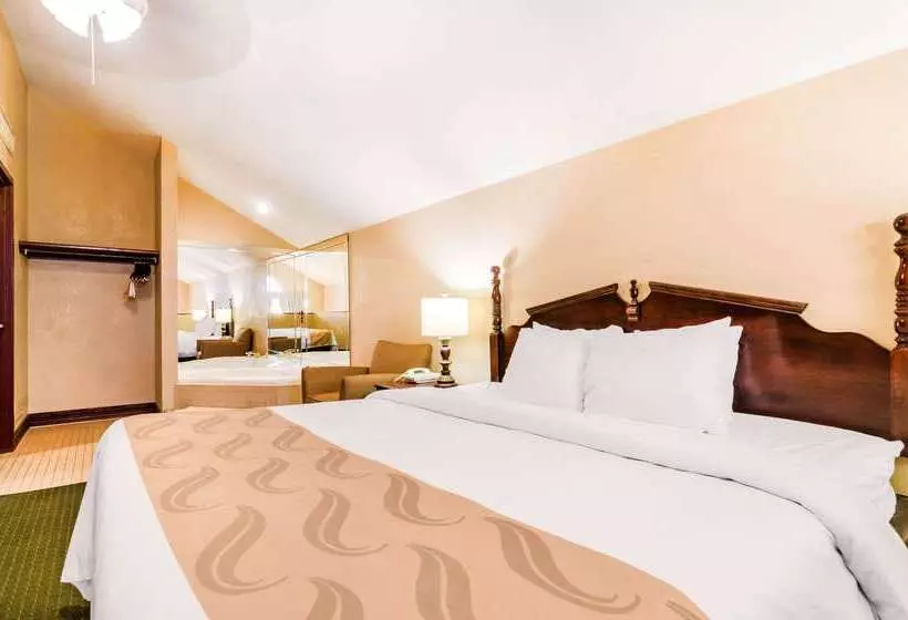 فندق Quality Inn & Suites