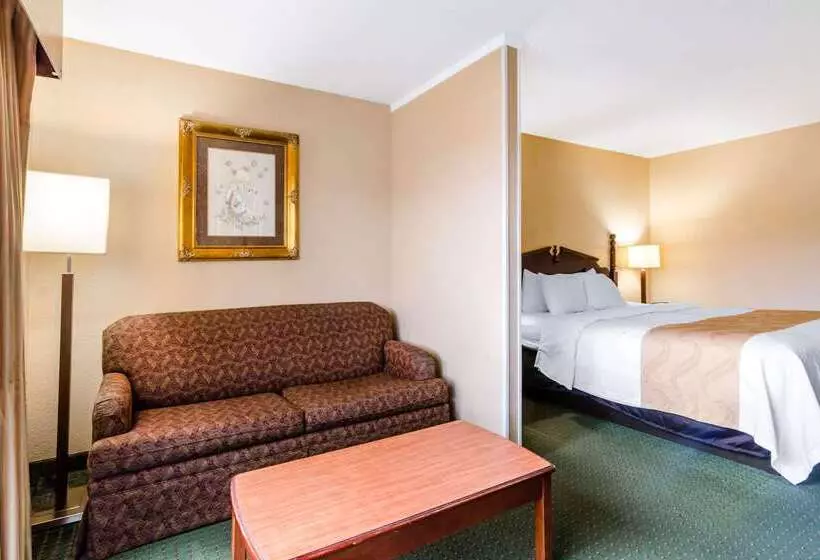 فندق Quality Inn & Suites
