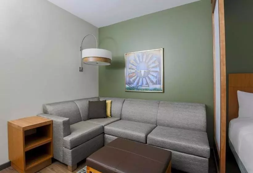 ホテル Hyatt Place Waco South