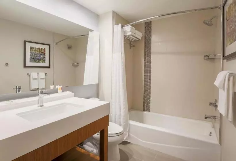 ホテル Hyatt Place Waco South