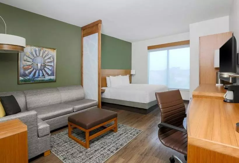 ホテル Hyatt Place Waco South