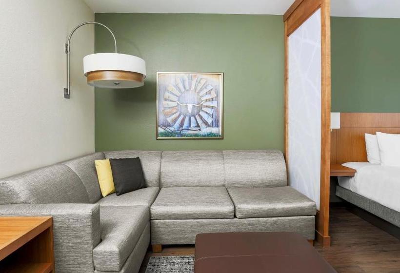 Hotelli Hyatt Place Waco South