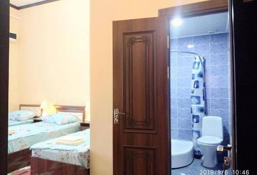 پانسیون Boran