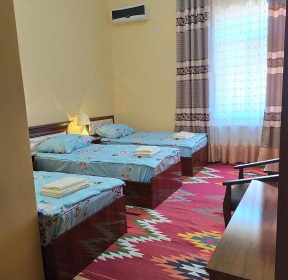 پانسیون Boran