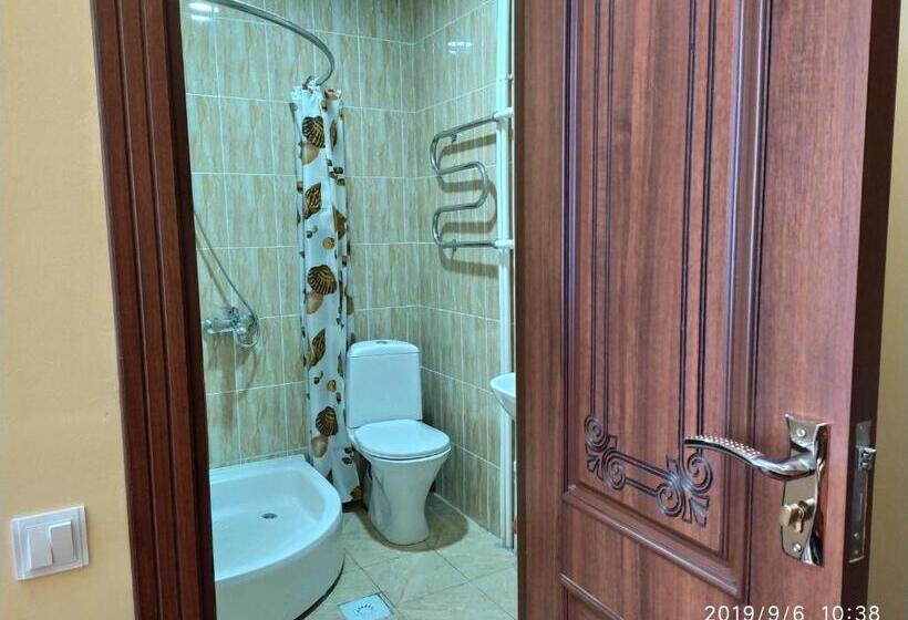 پانسیون Boran