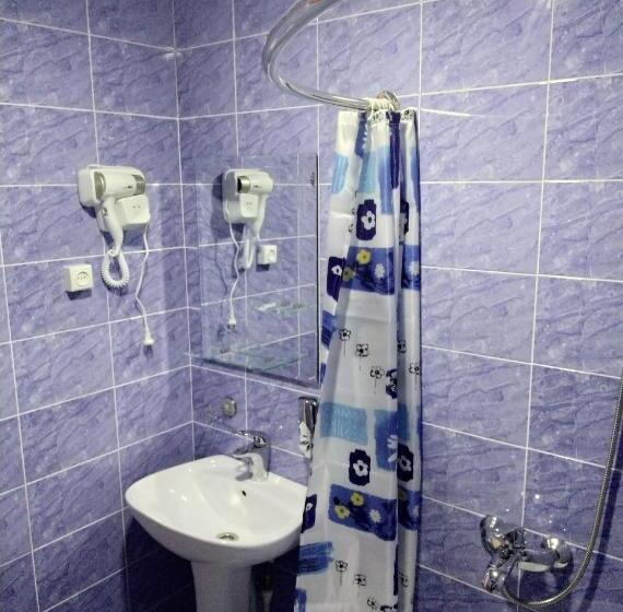 پانسیون Boran