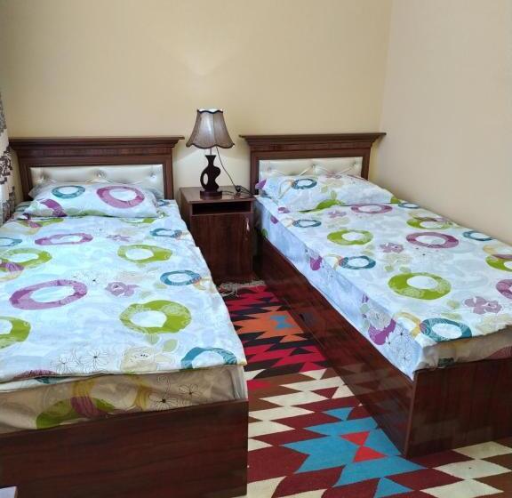 پانسیون Boran