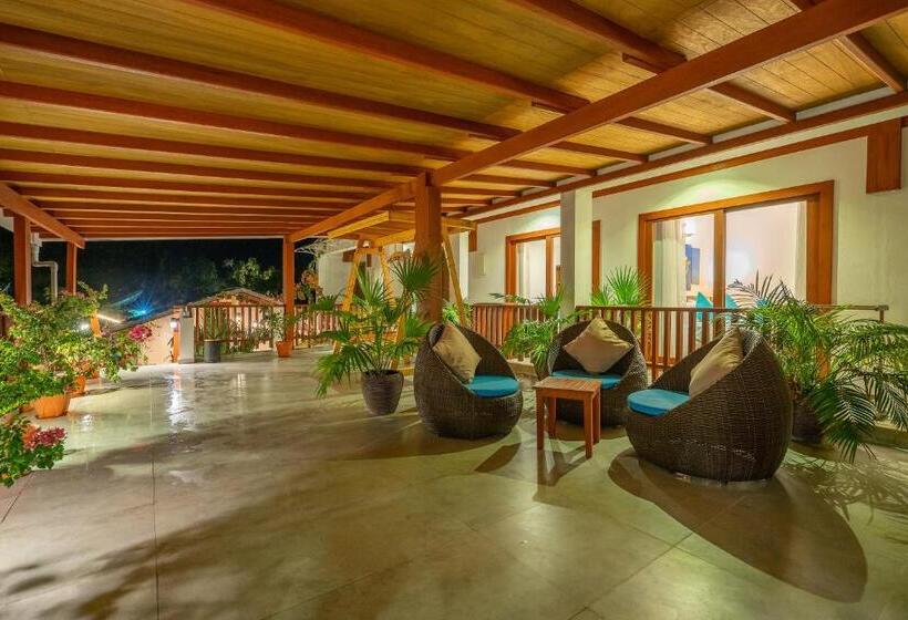 پانسیون Ithaa Dhigurah