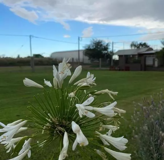 Hotelli Las Catalpas