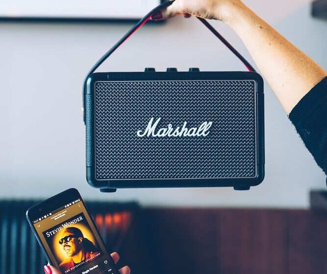 בית מלון כפרי The Mayson