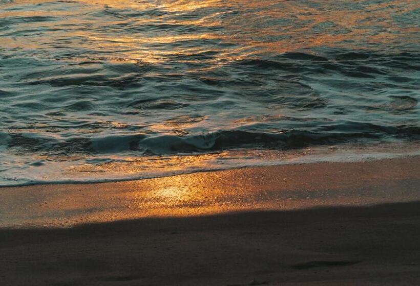 בית מלון כפרי Whisky Point Resort