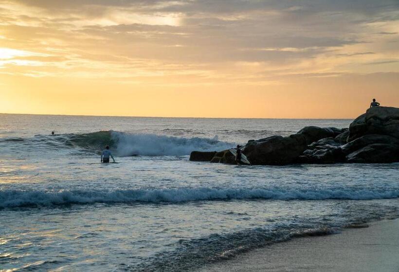 בית מלון כפרי Whisky Point Resort