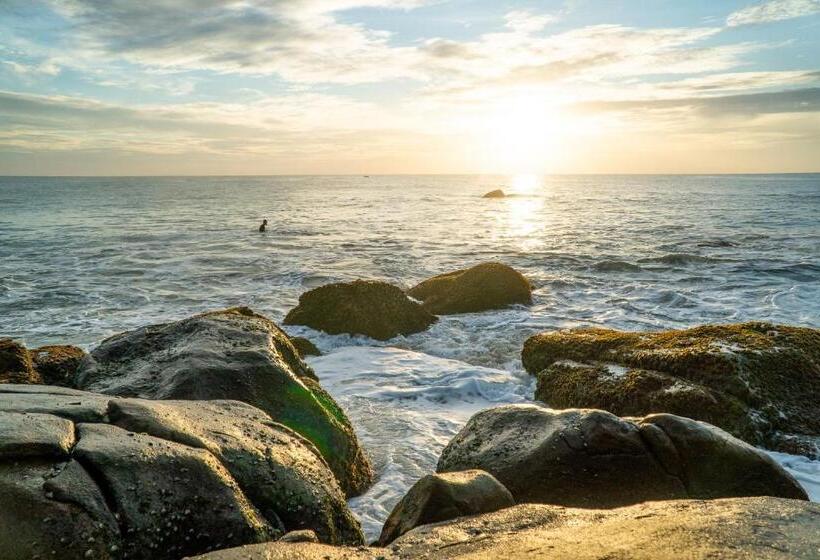 בית מלון כפרי Whisky Point Resort