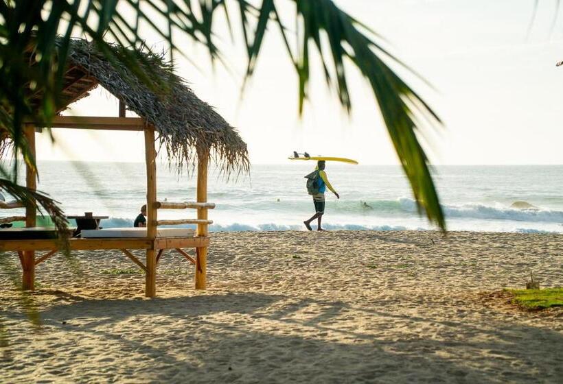 בית מלון כפרי Whisky Point Resort