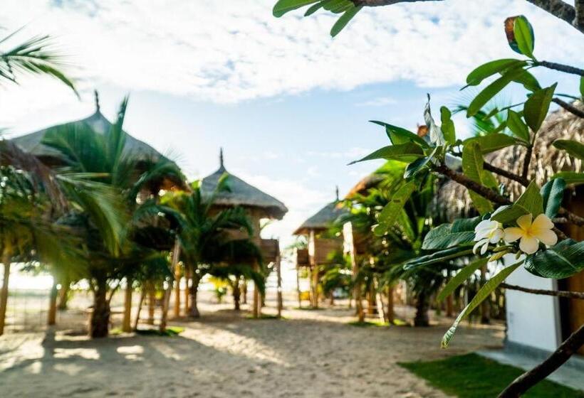 בית מלון כפרי Whisky Point Resort