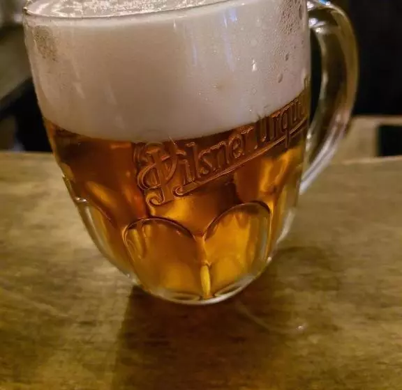 ペンション Majerovský Kaštieľ