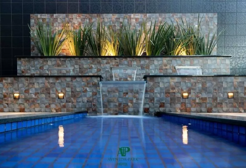 Avenida Park Hotel   Iturama