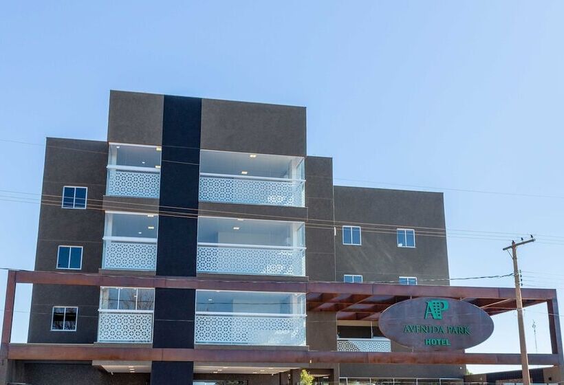 Avenida Park Hotel Iturama