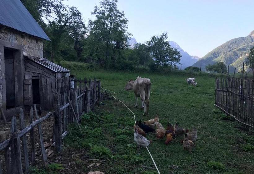 Pensiune Marash Rrgalla Guesthouse