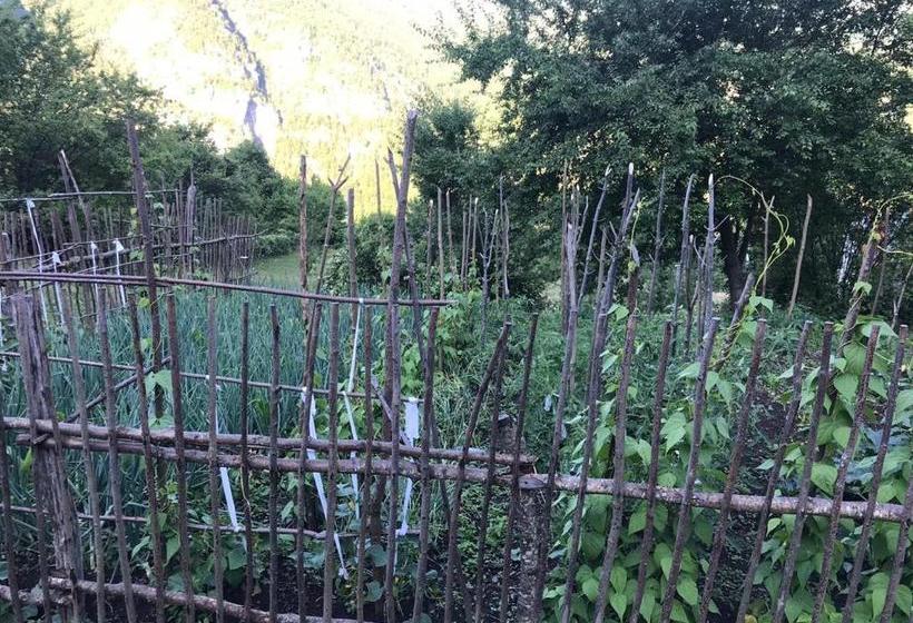 Pensiune Marash Rrgalla Guesthouse