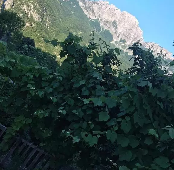پانسیون Marash Rrgalla Guesthouse