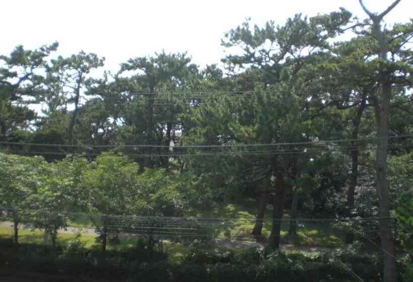 ペンション Minato Oasis Numazu