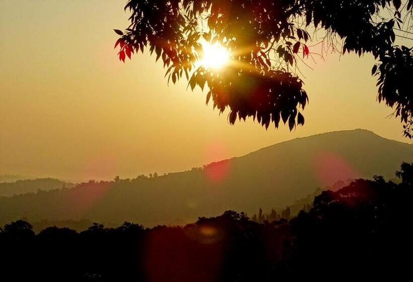 پانسیون New Green