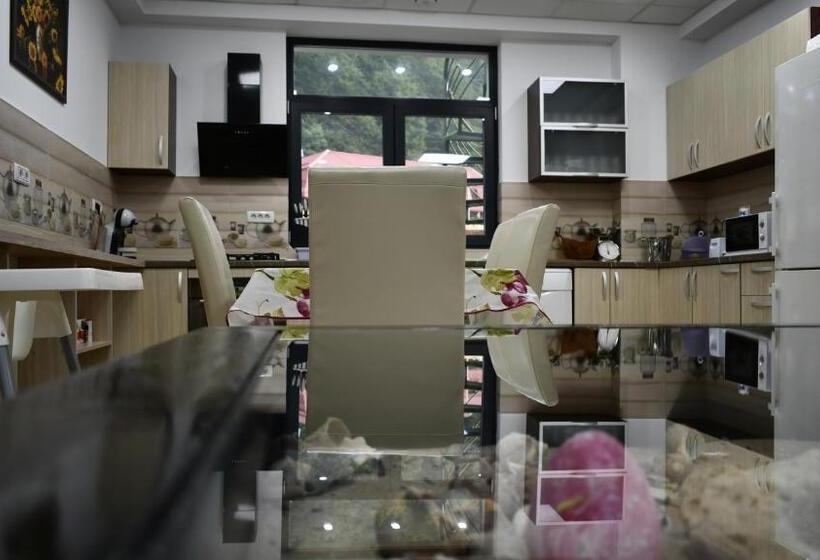 پانسیون New Green