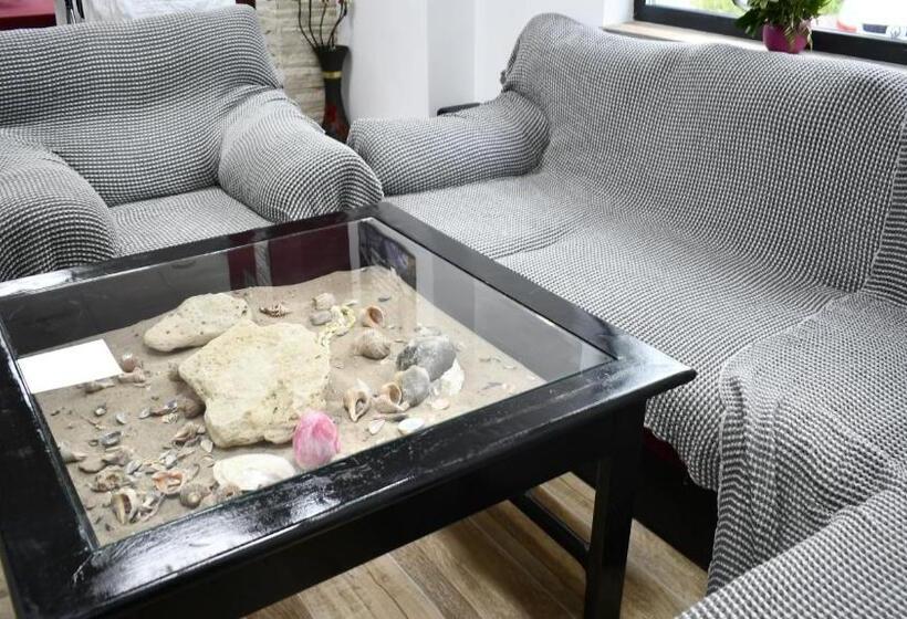 پانسیون New Green