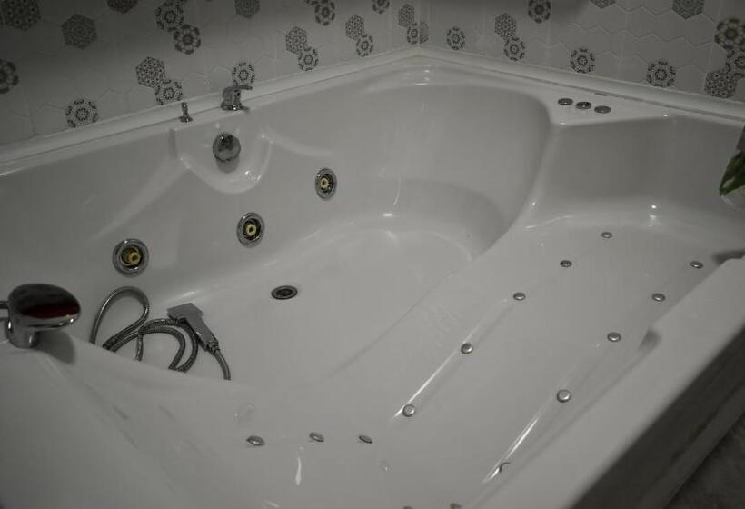 پانسیون New Green