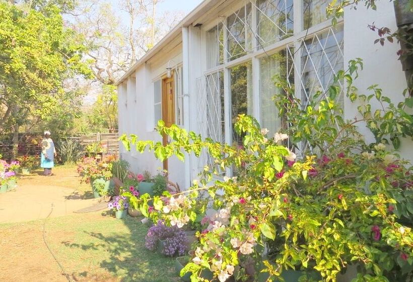 هاستل Ann Bruce S Backpackers