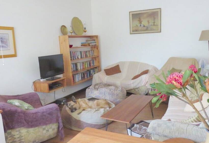 هاستل Ann Bruce S Backpackers