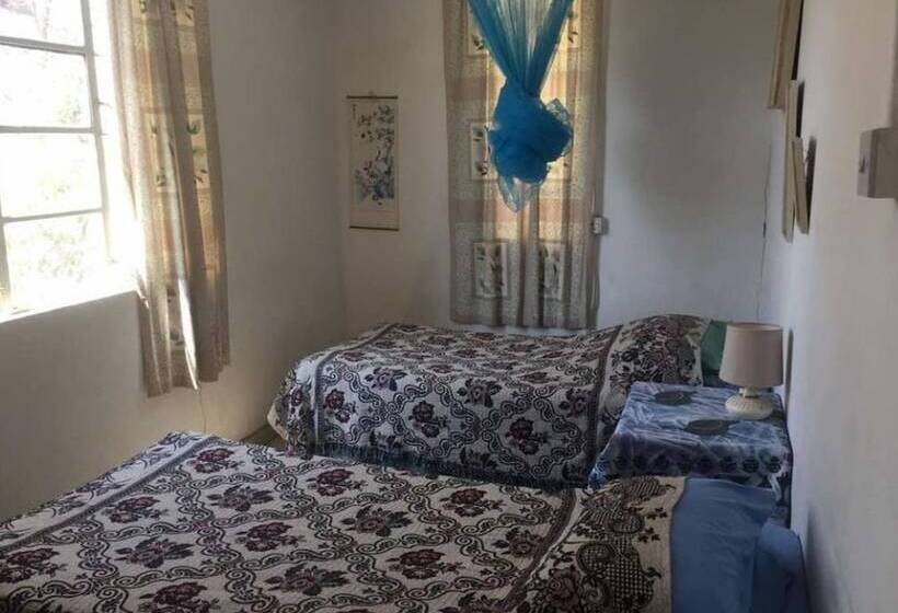 هاستل Ann Bruce S Backpackers