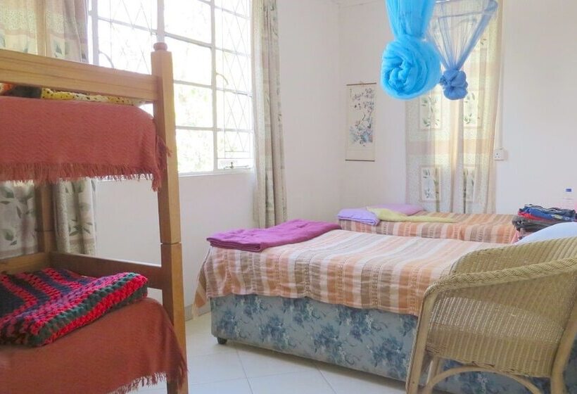 هاستل Ann Bruce S Backpackers