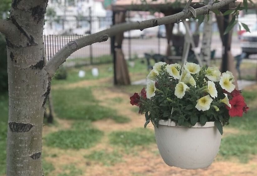 تختخواب و صبحانه Villa Dallavalle