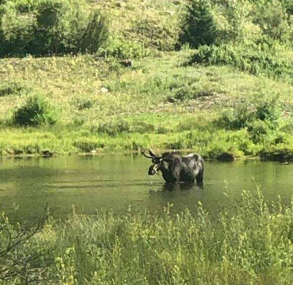 تختخواب و صبحانه Villa Dallavalle