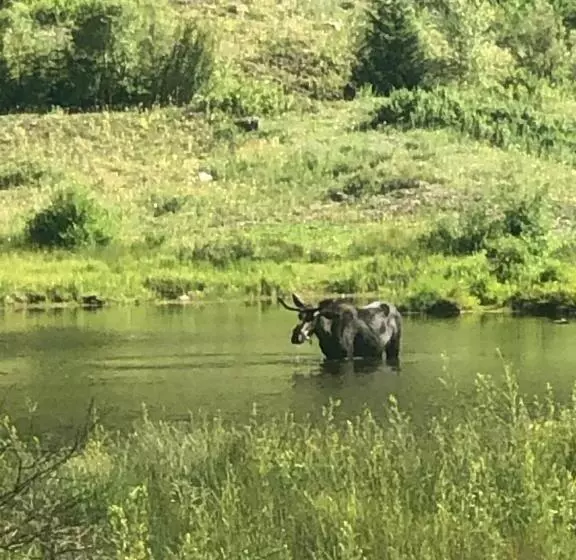 Aamiaismajoitus (B&B) Villa Dallavalle
