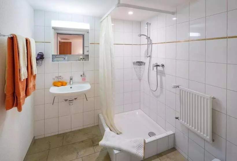 ホテル Historische Residenz Lindeneck