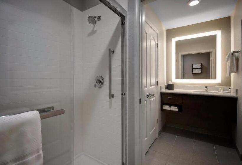 Отель Staybridge Suites   Holland, An Ihg