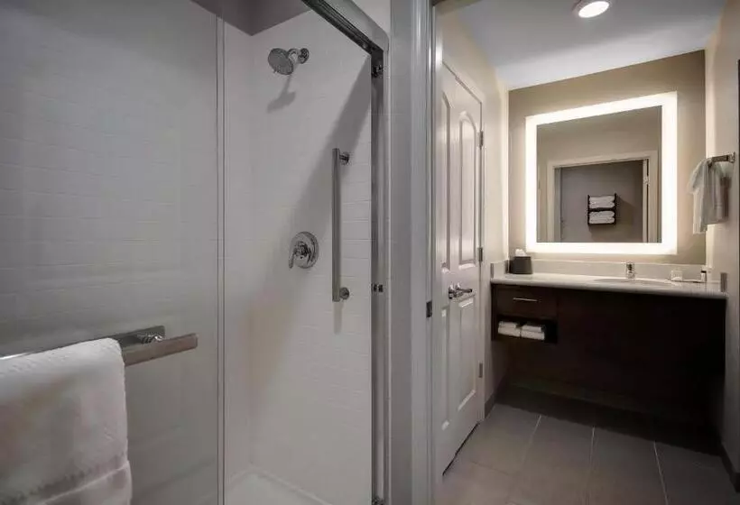 ホテル Staybridge Suites   Holland By Ihg
