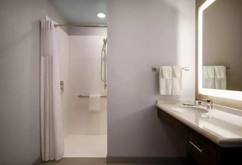ホテル Staybridge Suites   Holland By Ihg
