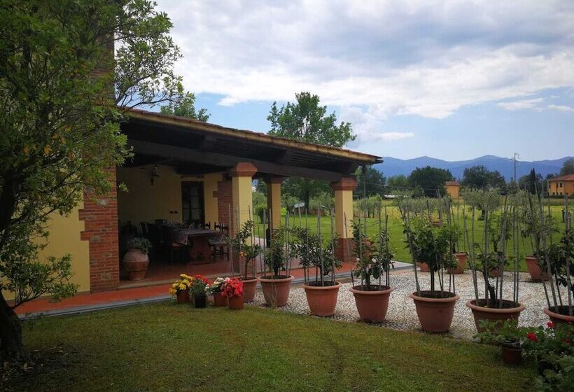 B&b La Fornace Del Sole