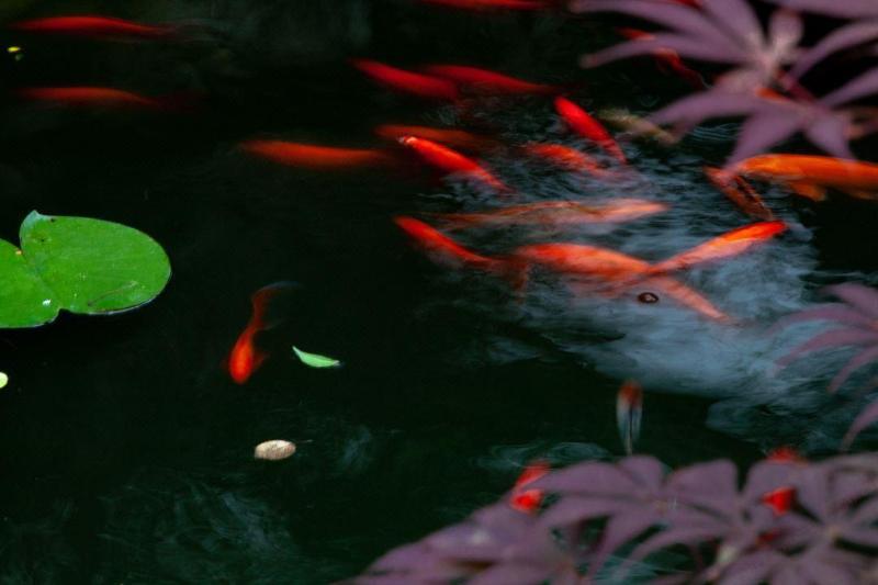 בית מלון כפרי Blossom House Suzhou Tanhuafu